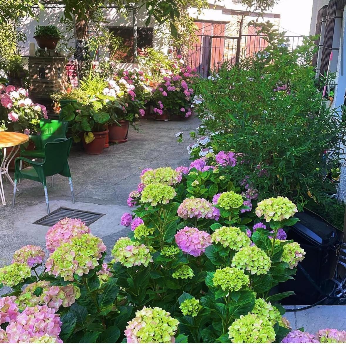 Hostal Rural Las Terrazas De La Alpujarra Бубион Экстерьер фото
